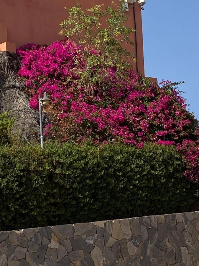 Besonderes Apartment Mit Einzigartigem Meerblick Costa Calma Extérieur photo